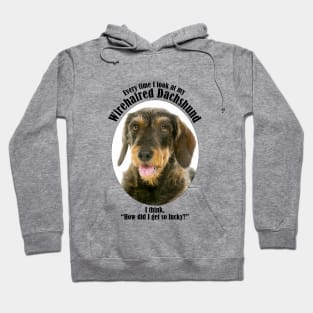 Lucky Wirehaired Dachshund Hoodie